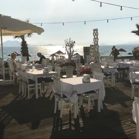 فندق فندق ماكري بيتش 3*